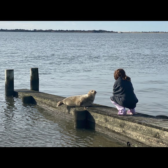 Meet your Posher, Deborah - Picture 9 of 14